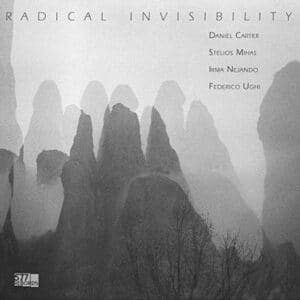 RADICAL INVISIBILITY - DANIEL CARTER, STELIOS MIHAS, IRMA NEJANDO, FEDERICO UGHI