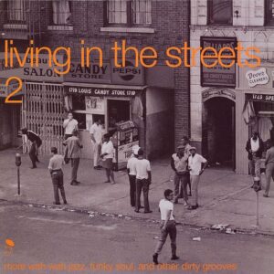 VA - LIVING IN THE STREETS 2