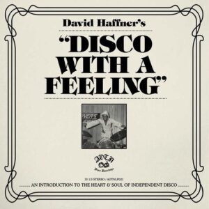 VARIOUS ARTISTS - DISCO WITH A FEELING