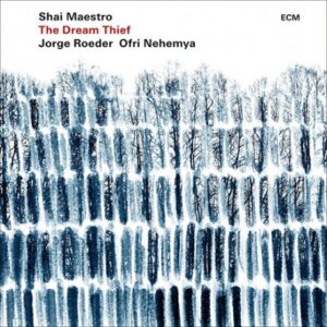 SHAI MAESTRO - THE DREAM THIEF