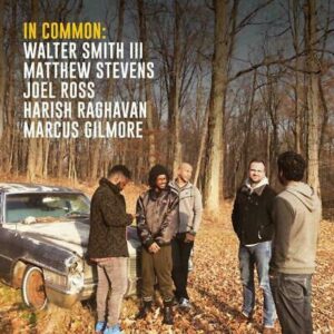 MATTHEW STEVENS - IN COMMON