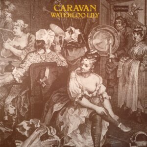 Caravan - Waterloo Lilly