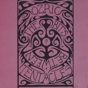 Ozric Tentacles - Bits Between The Bits