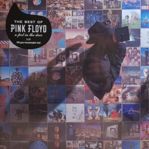 Pink Floyd - The Best Of Pink Floyd A Foot In The Door