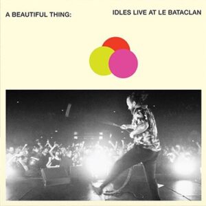 Idles - A Beautiful Thing-Orange Vinyl