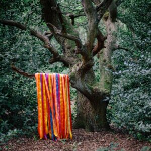 JAMES HOLDEN & THE ANIMAL SPIRITS - The Animal Spirits