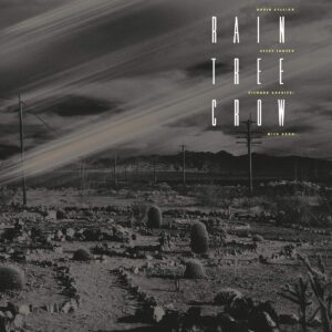 Rain Tree Crow - Rain Tree Crow