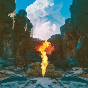 BONOBO - MIGRATION