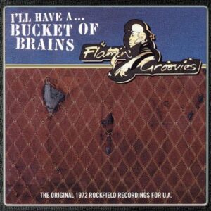 Flamin' Groovies	A Bucket Of Brains