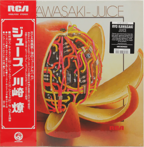 RYO KAWASAKI - JUICE