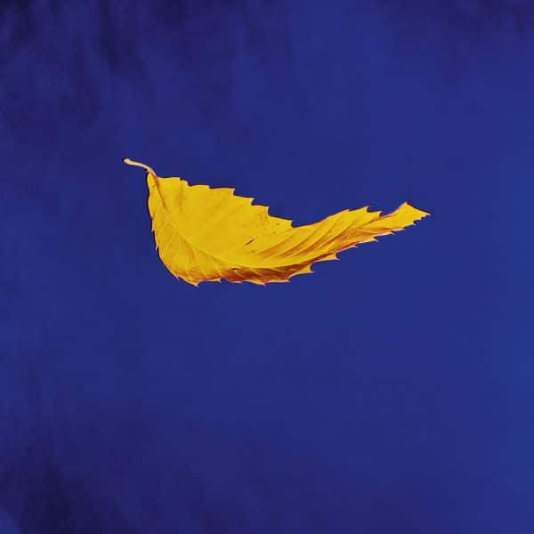 New Order - Substance '87 - Image 7