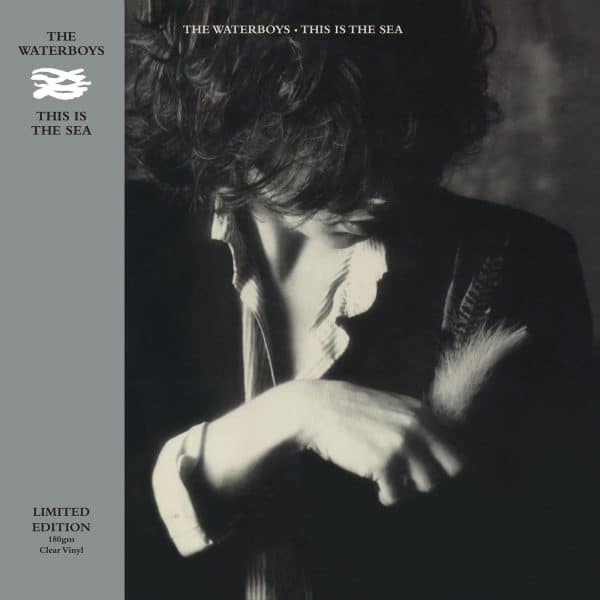 The Waterboys - This Is The Sea (CLEAR VINYL) - Image 2