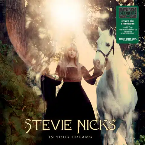 STEVIE NICKS - IN YOUR DREAMS (ROCKTOBER 2024)