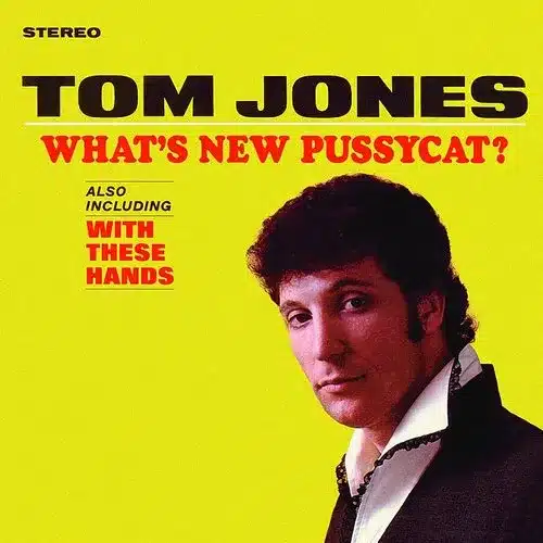 tom jones - what's new pussycat