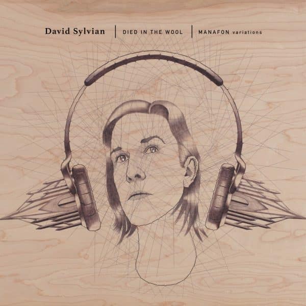 David Sylvian - Died In The Wool