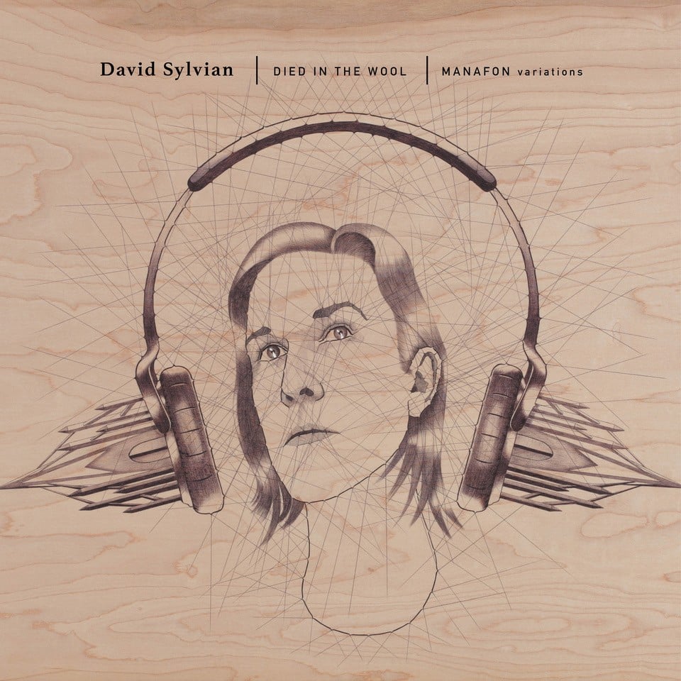 David Sylvian - Died In The Wool